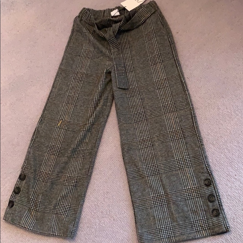 Zara pants